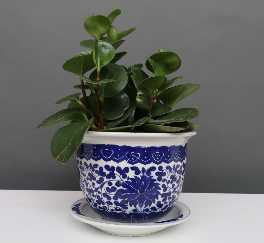 China Porcelain Flowerpot Blue-White lotus flowers Ø 17cm