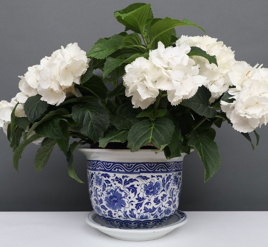 China Porzellan Blumentopf Blau-Weiß mit Nelken blumen Ø 33cm
