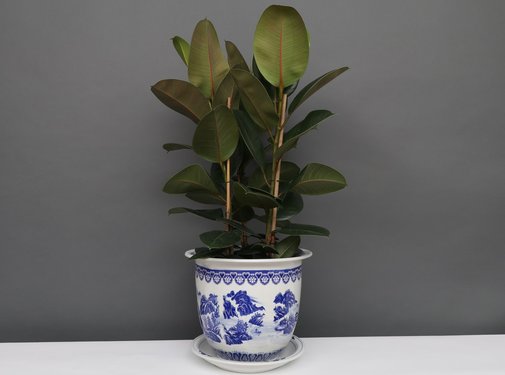 Yajutang Flowerpot Blue-White with Landscape Ø28