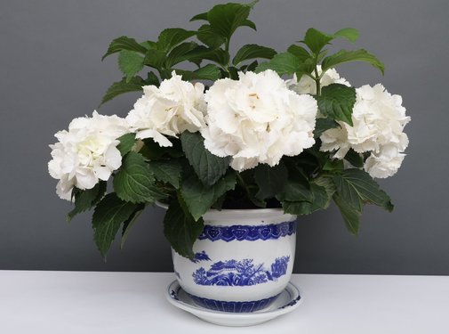 Yajutang Flowerpot Blue-White with Landscape Ø24