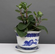 Yajutang Flowerpot Blue-White with Landscape Ø17