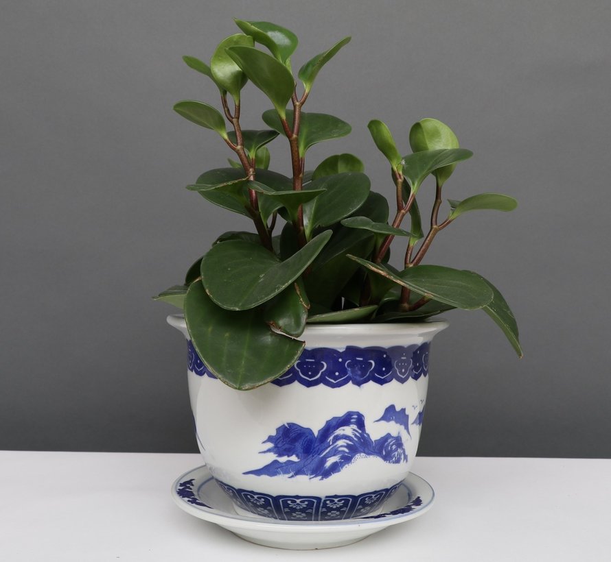 China Porcelain Flowerpot Blue-White with Landscape Ø 17cm