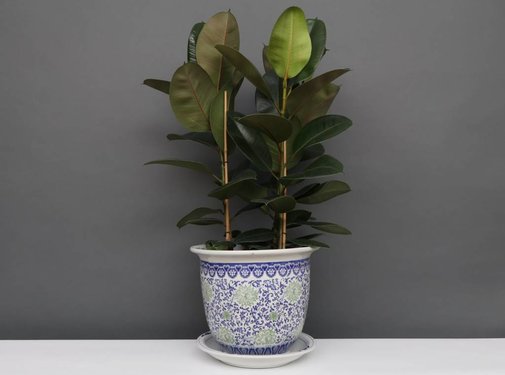 Yajutang Flowerpot Blue-White & Green Flowers Ø33