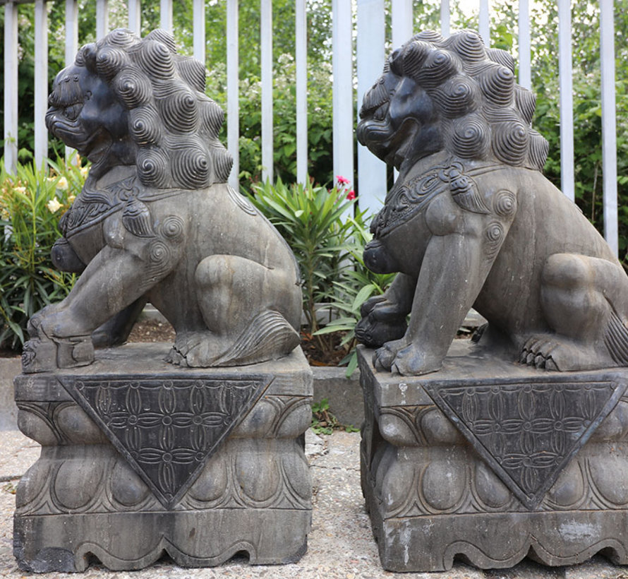 Pair of Fu dogs Guardian lions Temple lion stone figure 80cm H