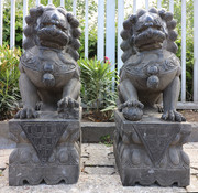 Yajutang Fu dogs guardian lion temple lion 80cmH