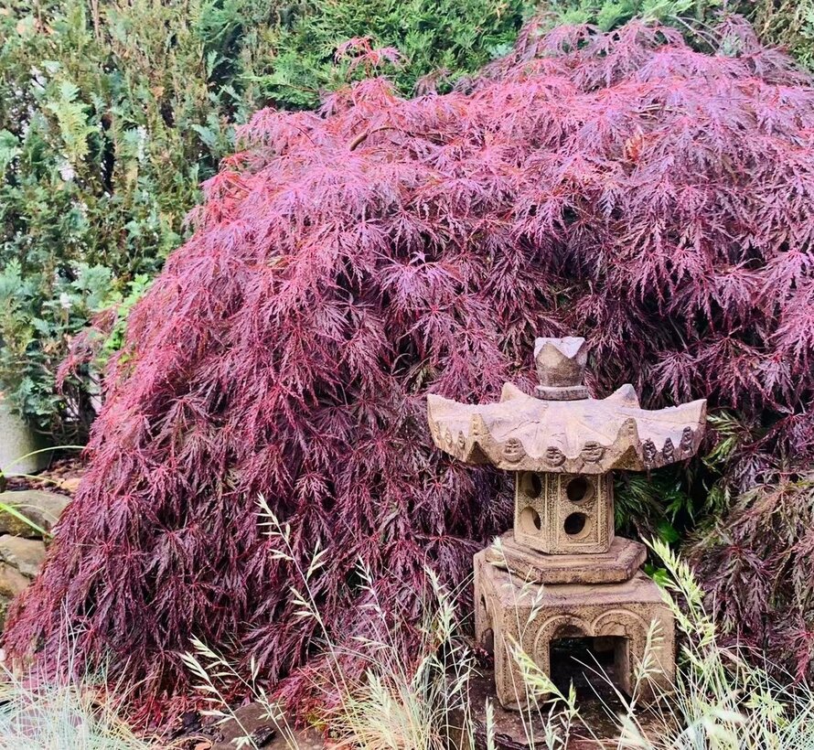 sechseckiger Pagoda  für Garten