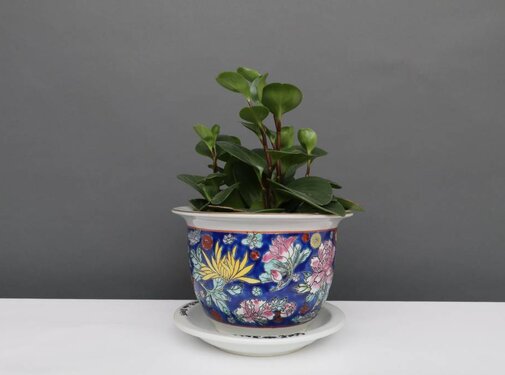 Yajutang Blumentopf Blau mit bunten Blumen Ø 17cm