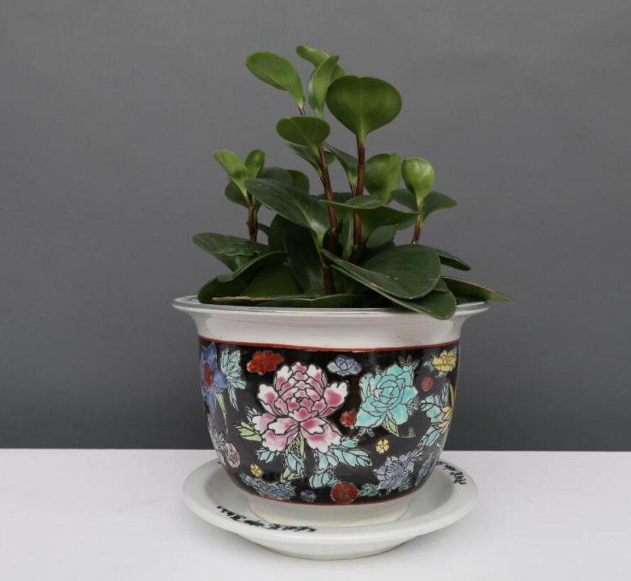 Porcelain flowerpot black colorful flowers Maximum outer edge Ø 17