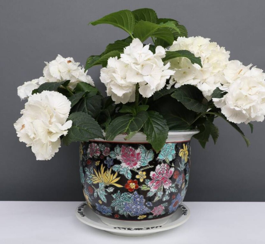 Porcelain flowerpot black colorful flowers Maximum outer edge Ø 17