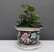 Yajutang Flowerpot black & colorful flowers Ø20