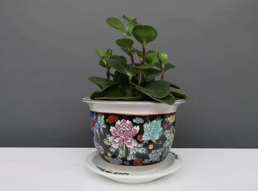 Yajutang Flowerpot black & colorful flowers Ø20