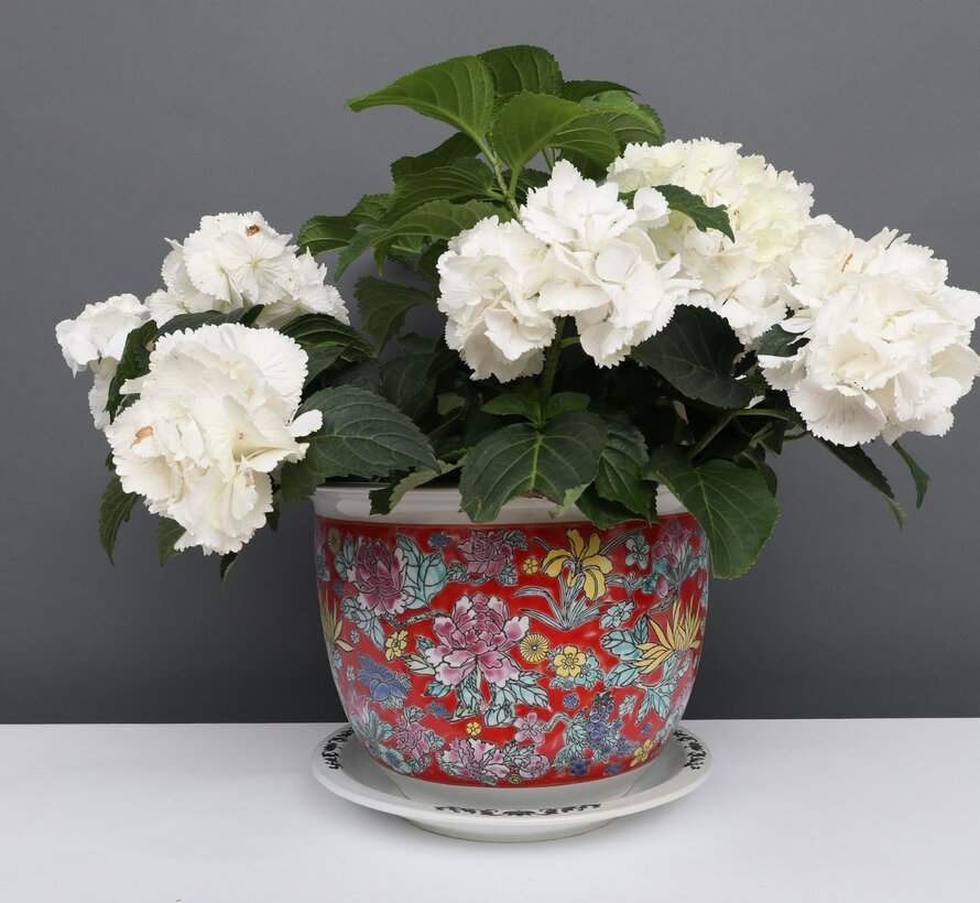 Porcelain flowerpot red colorful flowers Maximum outer edge Ø 17cm