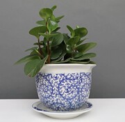 Yajutang Flowerpot Blue-White  Snail Leaf Ø 17cm