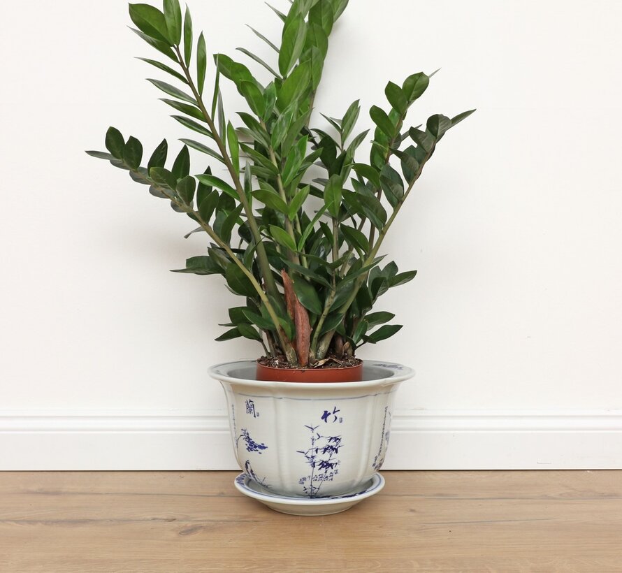 Porcelain Flower Pot Plum Orchid Maximum Outer Edge Ø23