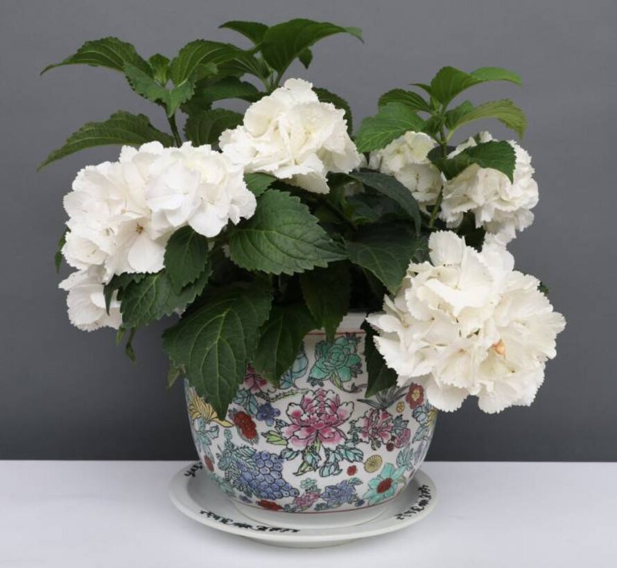 China Porcelain flowerpot white with colorful flowers Ø 40