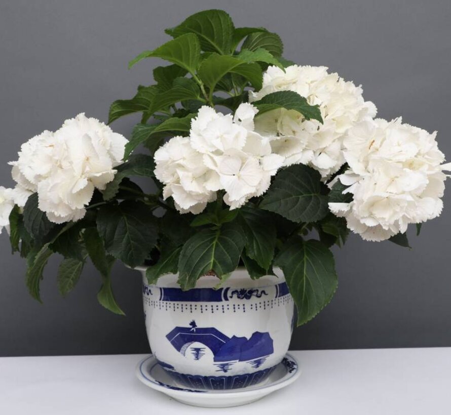 China Porcelain Flowerpot Blue-White with Landscape Ø 40