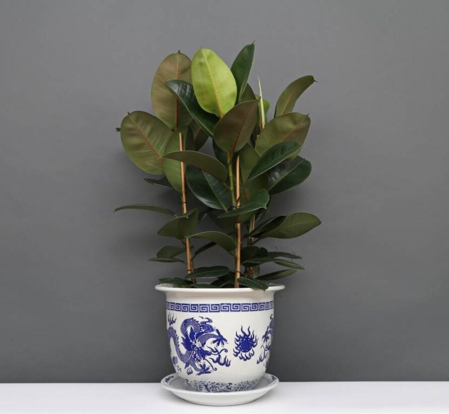 Porcelain flowerpot with dragon motif Maximum outer edge Ø28