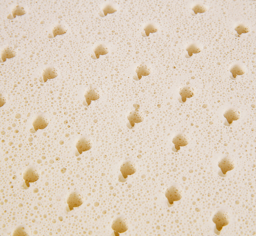 Ein Talalay-Latex-Brotkissen mit einteiligem TPE-Kissenbezug