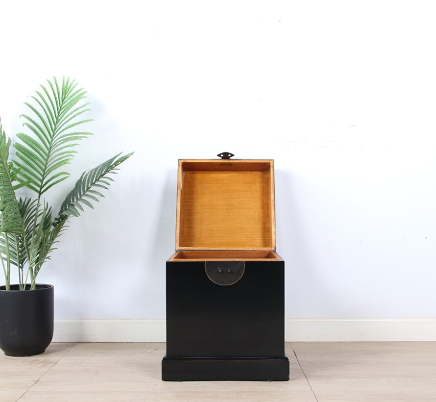 Chinese Chest Black Solid Wood Brass Fitting | Yajutang