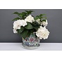 China Porzellan Blumentopf  Weiß mit bunten Blumen Ø 22cm