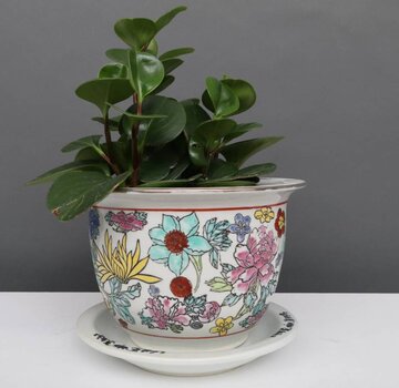 Yajutang Blumentopf Weiß mit bunten Blumen Ø19