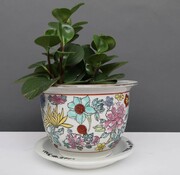 Yajutang Flowerpot white & colorful flowers Ø13 cm