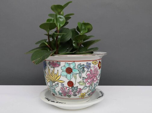 Yajutang Blumentopf Weiß mit bunten Blumen Ø13cm