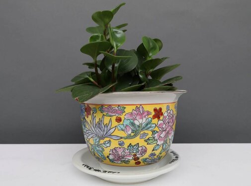 Yajutang Flowerpot yellow & colorful flowers Ø16