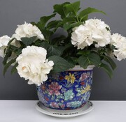 Yajutang Blumentopf Blau mit bunten Blumen Ø 22