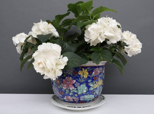 Yajutang Flowerpot blue & colorful flowers Ø 22