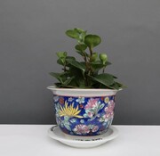 Yajutang Flowerpot blue & colorful flowers Ø 16