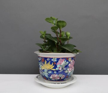 Yajutang Blumentopf Blau mit bunten Blumen Ø 13