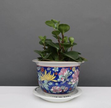 Yajutang Flowerpot blue & colorful flowers Ø 13