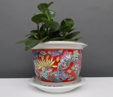 Yajutang Flowerpot red & colorful flowers Ø26