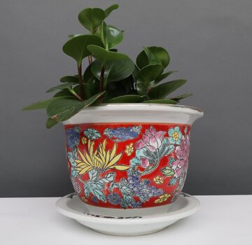 Yajutang Flowerpot red & colorful flowers Ø26