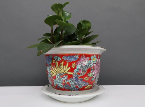 Yajutang Flowerpot red & colorful flowers Ø 22