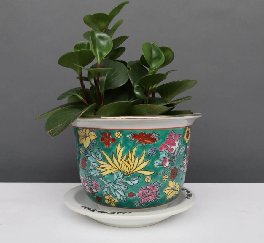 Flower pot with saucer made of porcelain painting green floral motif Ø 16