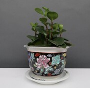 Yajutang Flowerpot black & colorful flowers Ø16