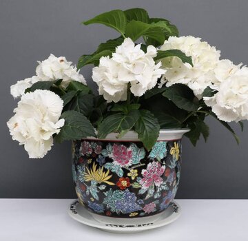 Yajutang Flowerpot black & colorful flowers Ø19