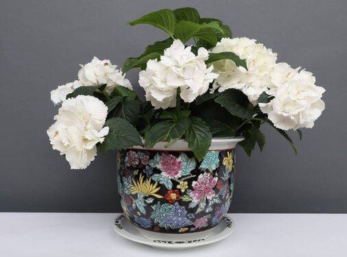 Yajutang Flowerpot black & colorful flowers Ø19