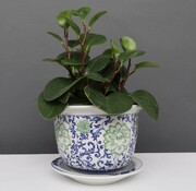 Yajutang Flowerpot Blue-White  Green Flowers Ø13