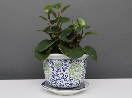 Yajutang Flowerpot Blue-White  Green Flowers Ø13
