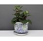 China Porzellan Blumentopf Blau-Weiß  grünen Blumen Ø13