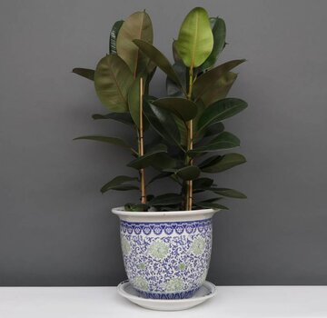 Yajutang Flowerpot Blue-White & Green Flowers Ø26