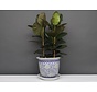 China porcelain flowerpot blue-white with green flowers Ø26