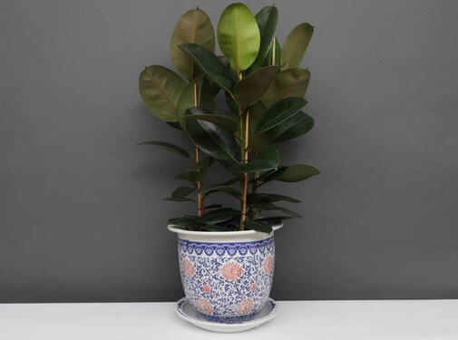 Yajutang Flowerpot Blue-White & red Flowers Ø30