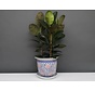 China Porcelain Flowerpot Blue-White with red Flowers Ø30