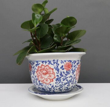 Yajutang Flowerpot Blue-White & red Flowers Ø13