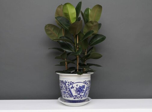 Yajutang Blumentopf Blau-Weiß mit Pfingstrose Ø30