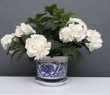 Yajutang Flowerpot blue-white with peony Ø 19